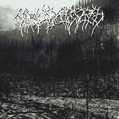 Carved Cross – Untitled DigiCD