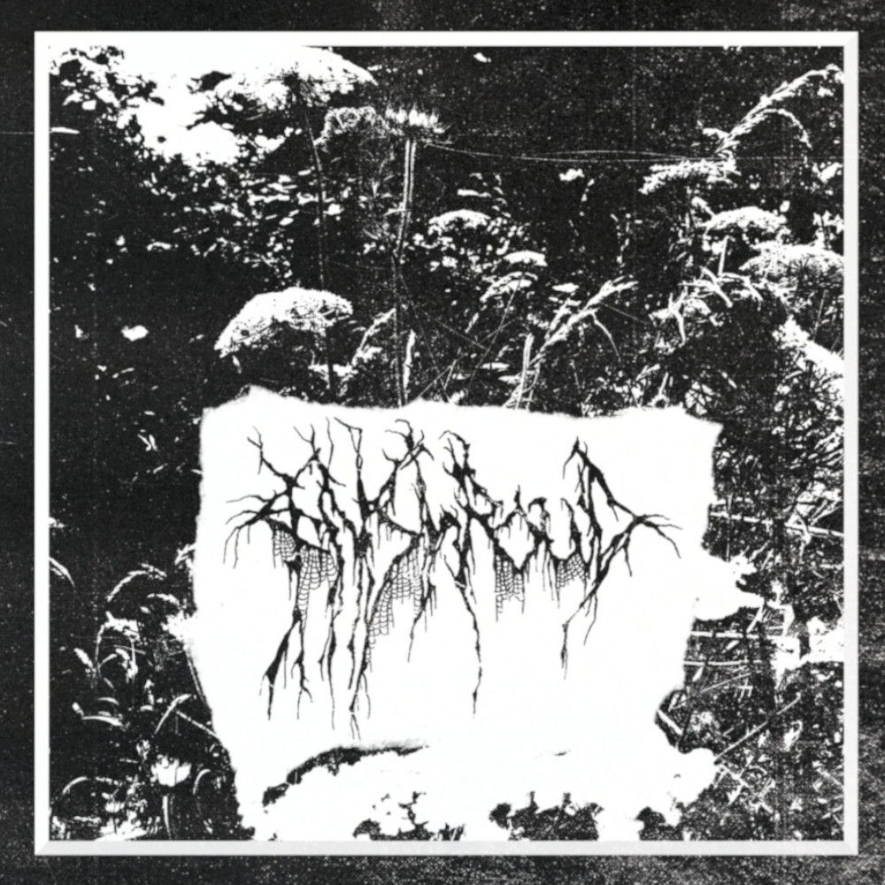 Enshroud – Enshroud LP