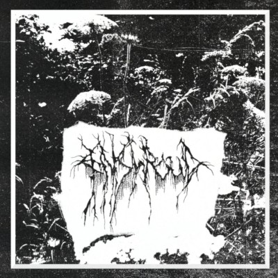 Enshroud – Enshroud LP
