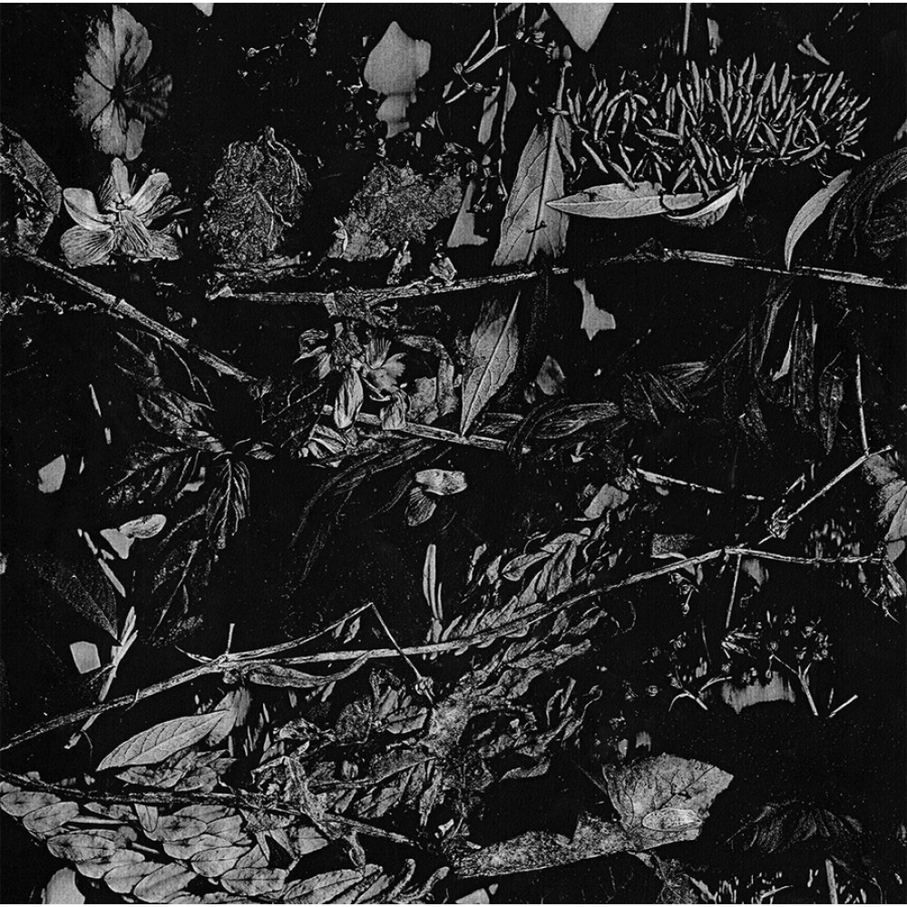 Turia – Dede Kondre DigiCD