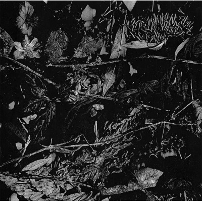 Turia – Dede Kondre DigiCD