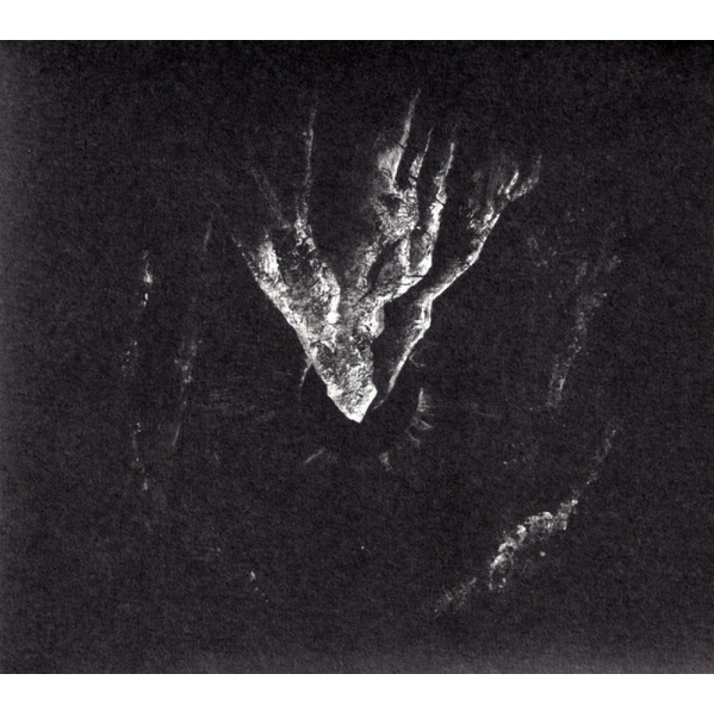 Nécropole – Yoga LP