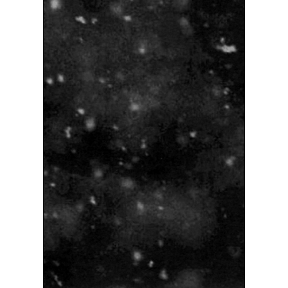 Paysage d'Hiver - Einsamkeit A5 Digibook CD