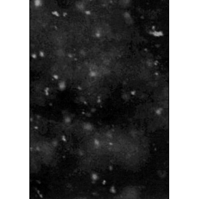 Paysage d'Hiver - Einsamkeit A5 Digibook CD