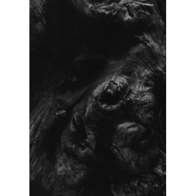 Paysage d'Hiver - Steineiche A5 Digibook CD