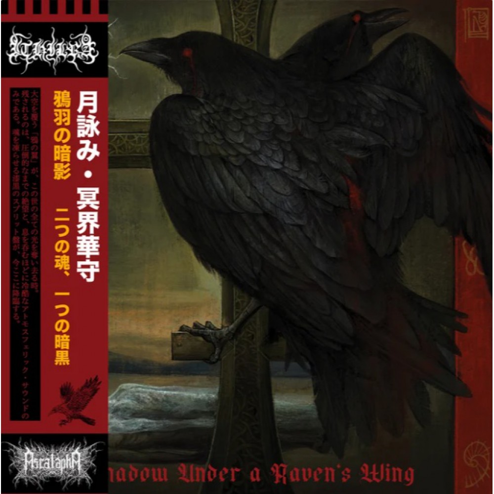 Ascalapha / Ithilrå - Shadow Under a Ravens Wing LP