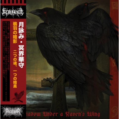 Ascalapha / Ithilrå - Shadow Under a Ravens Wing LP