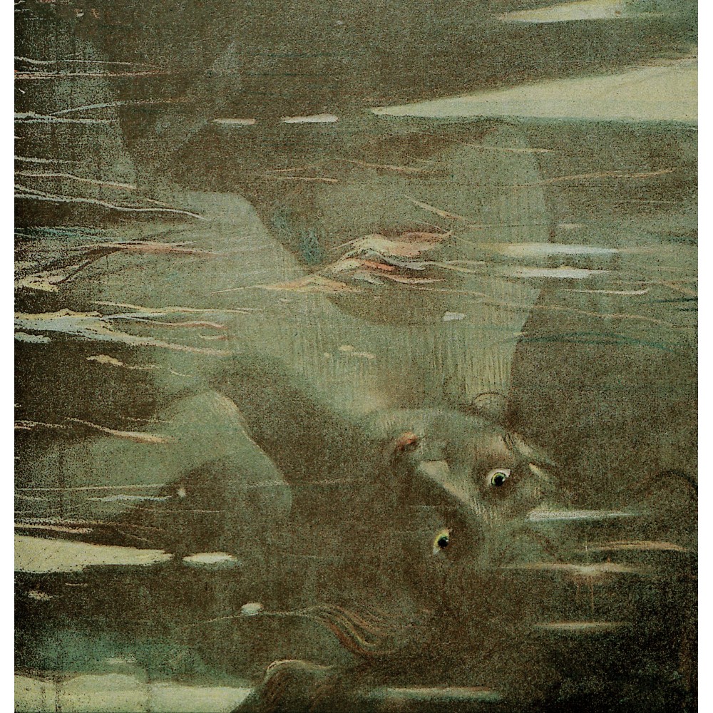 Ûkcheânsâlâwit - Mjijaqamij LP