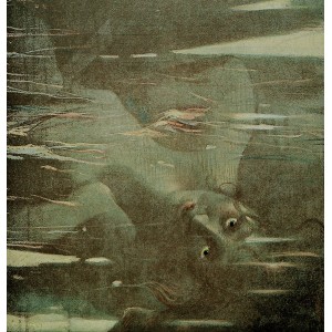 Ûkcheânsâlâwit - Mjijaqamij LP