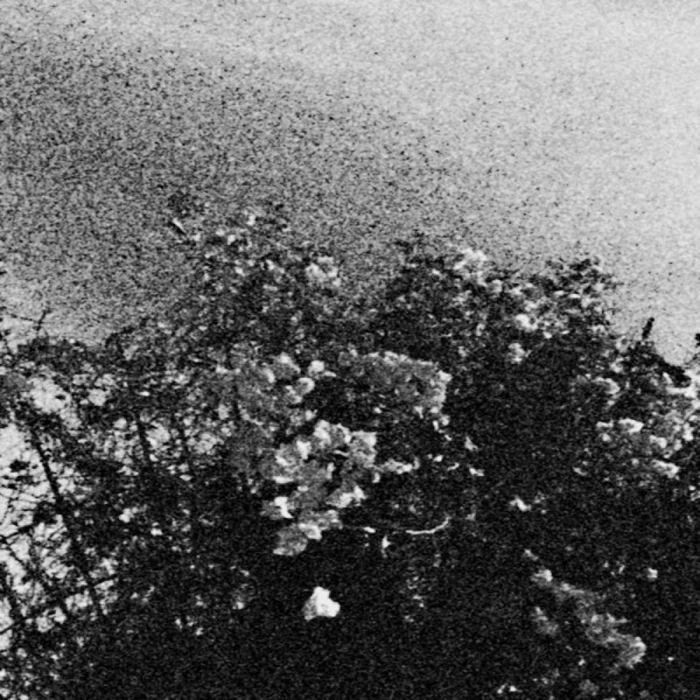 Celestial Sword / Trhä – Edënohhdlha Hálgra Tu Majtranlh'ha / Ga Nëcëcta Mon Idlhi LP