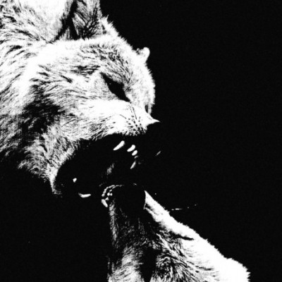 Черновство – П​о​р​я​д​о​к LP