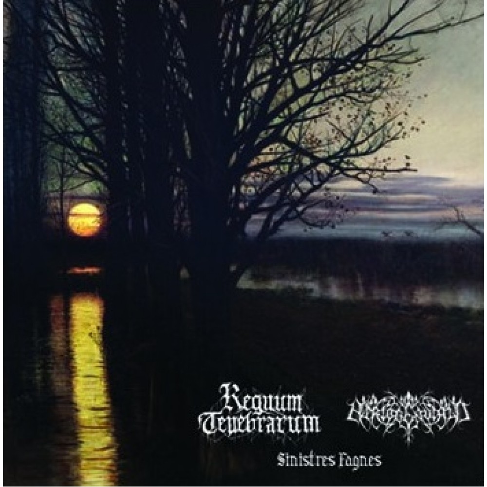 Regnum Tenebrarum / Hertogenwald - Split LP