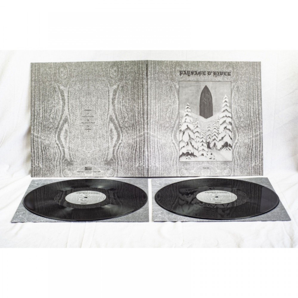 Paysage d'Hiver - Das Tor DLP