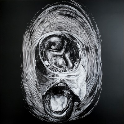 Rhinocervs – RH-16