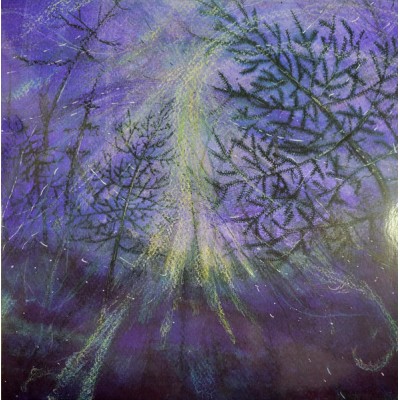 Tetrasigil – Forest Storm LP