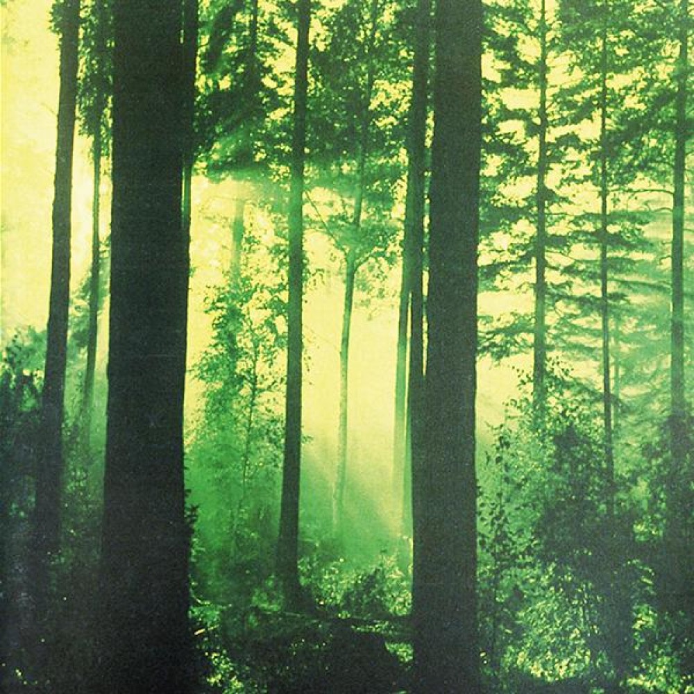 Thy Serpent – Forests Of Witchery LP