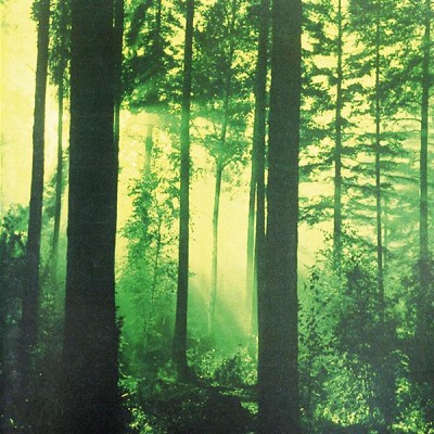 Thy Serpent – Forests Of Witchery CD