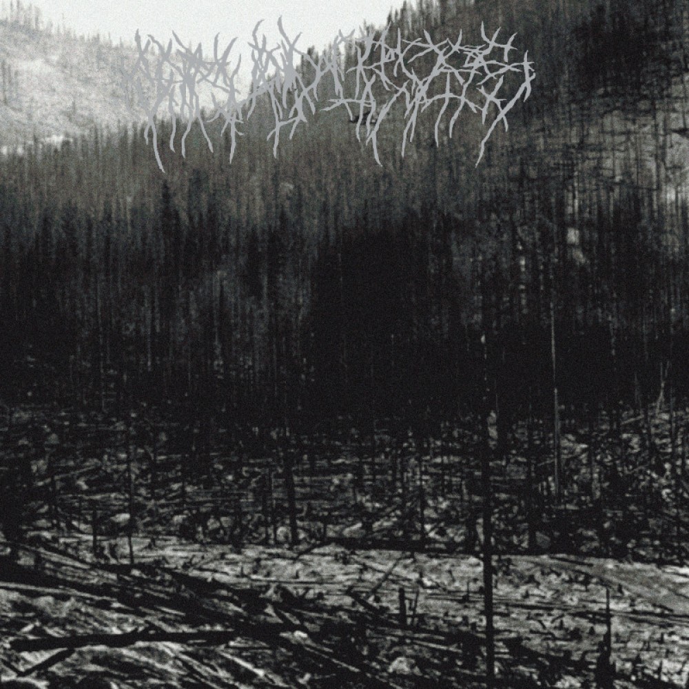 Carved Cross – Untitled DLP